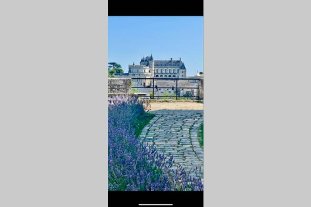 Le 17 Entre Gare Et Chateau Amboise Exterior foto